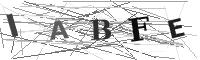 Please refresh your browser to see this image.