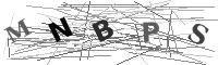 Please refresh your browser to see this image.